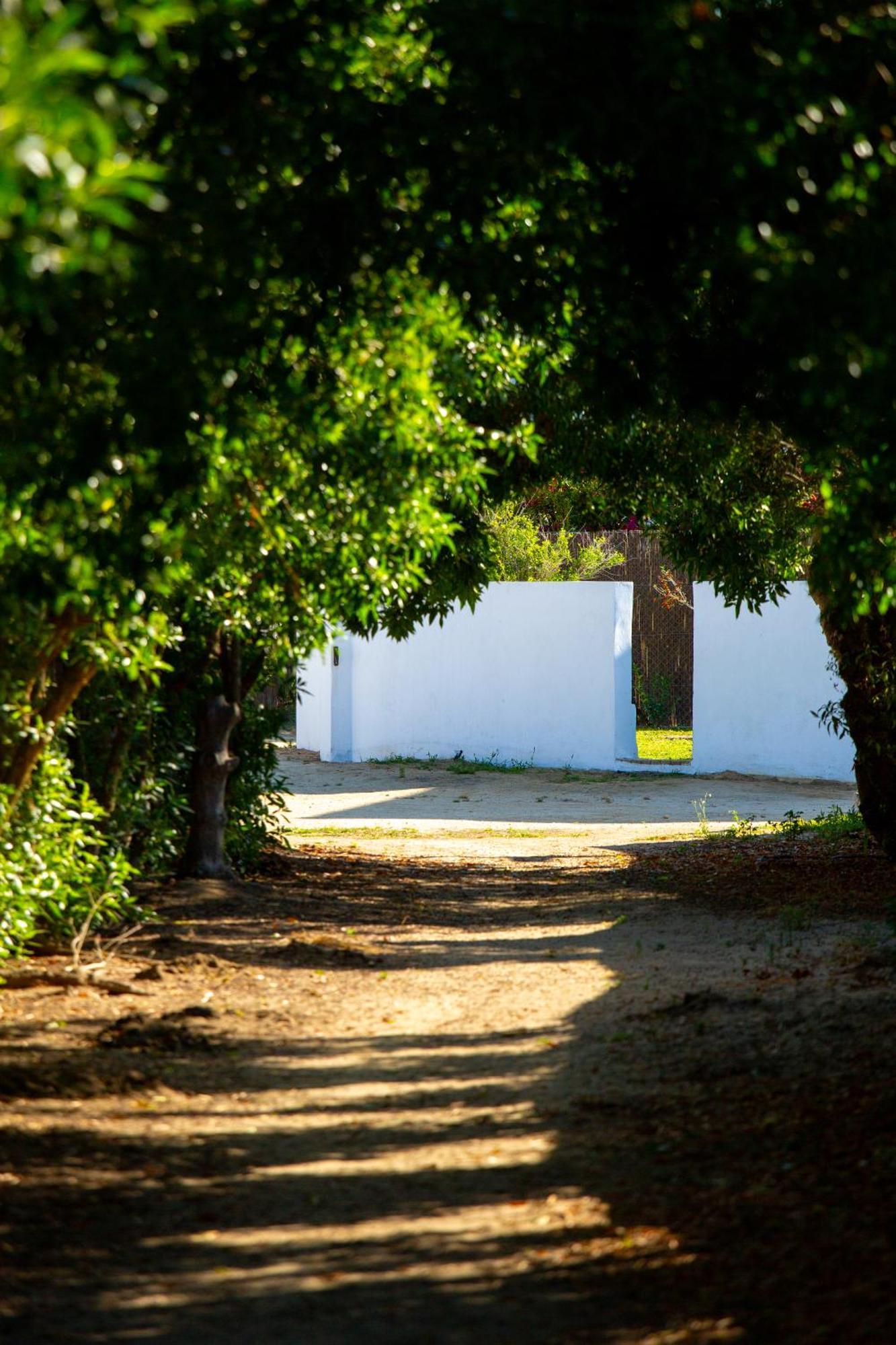Casara Dos - 2 Dormitorios - Torre Con Acceso Privado A La Playa De Zahora Eksteriør billede