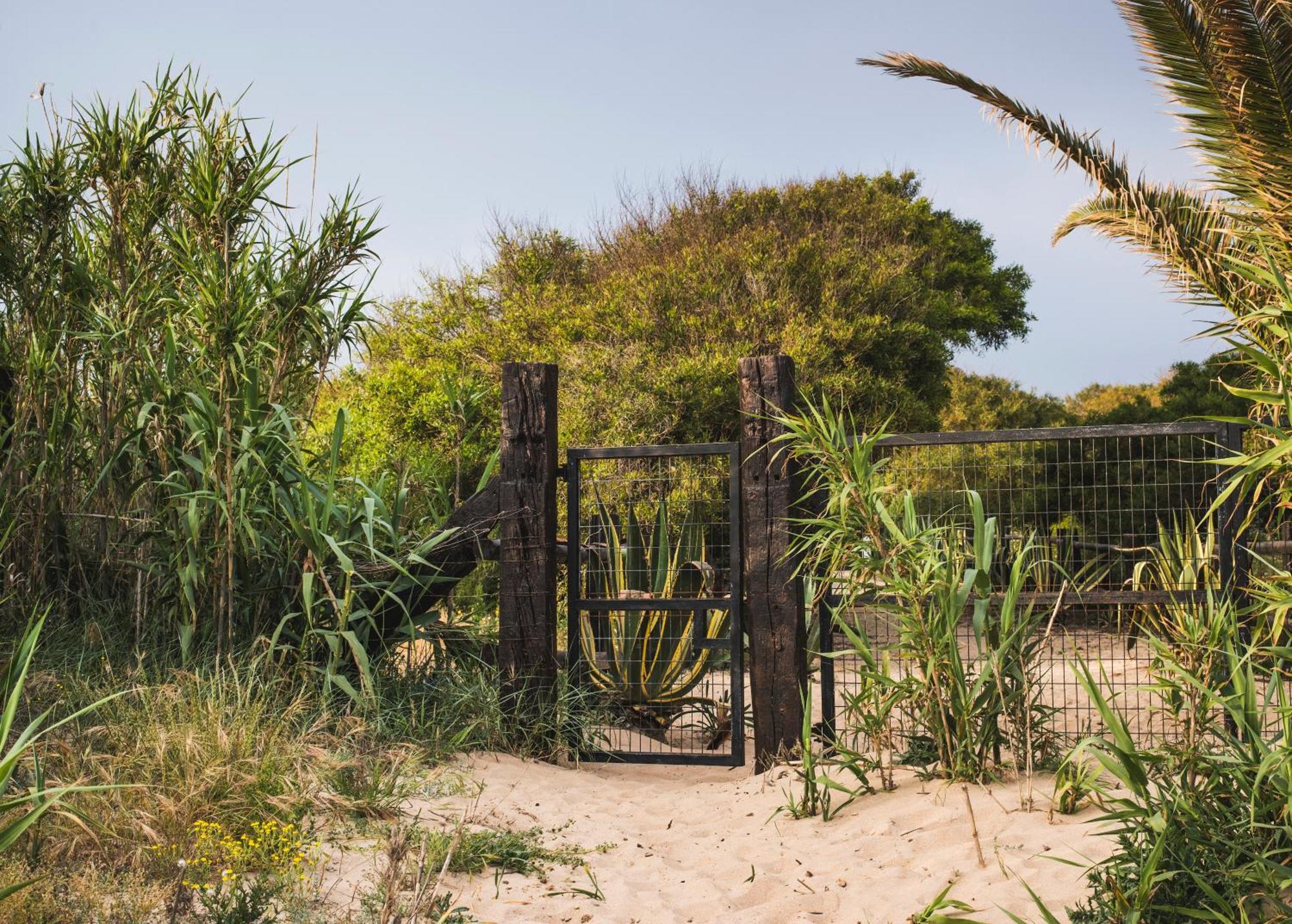 Casara Dos - 2 Dormitorios - Torre Con Acceso Privado A La Playa De Zahora Eksteriør billede