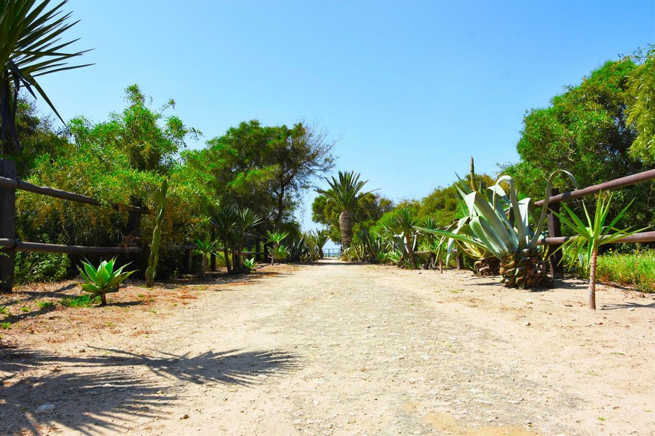 Casara Dos - 2 Dormitorios - Torre Con Acceso Privado A La Playa De Zahora Eksteriør billede